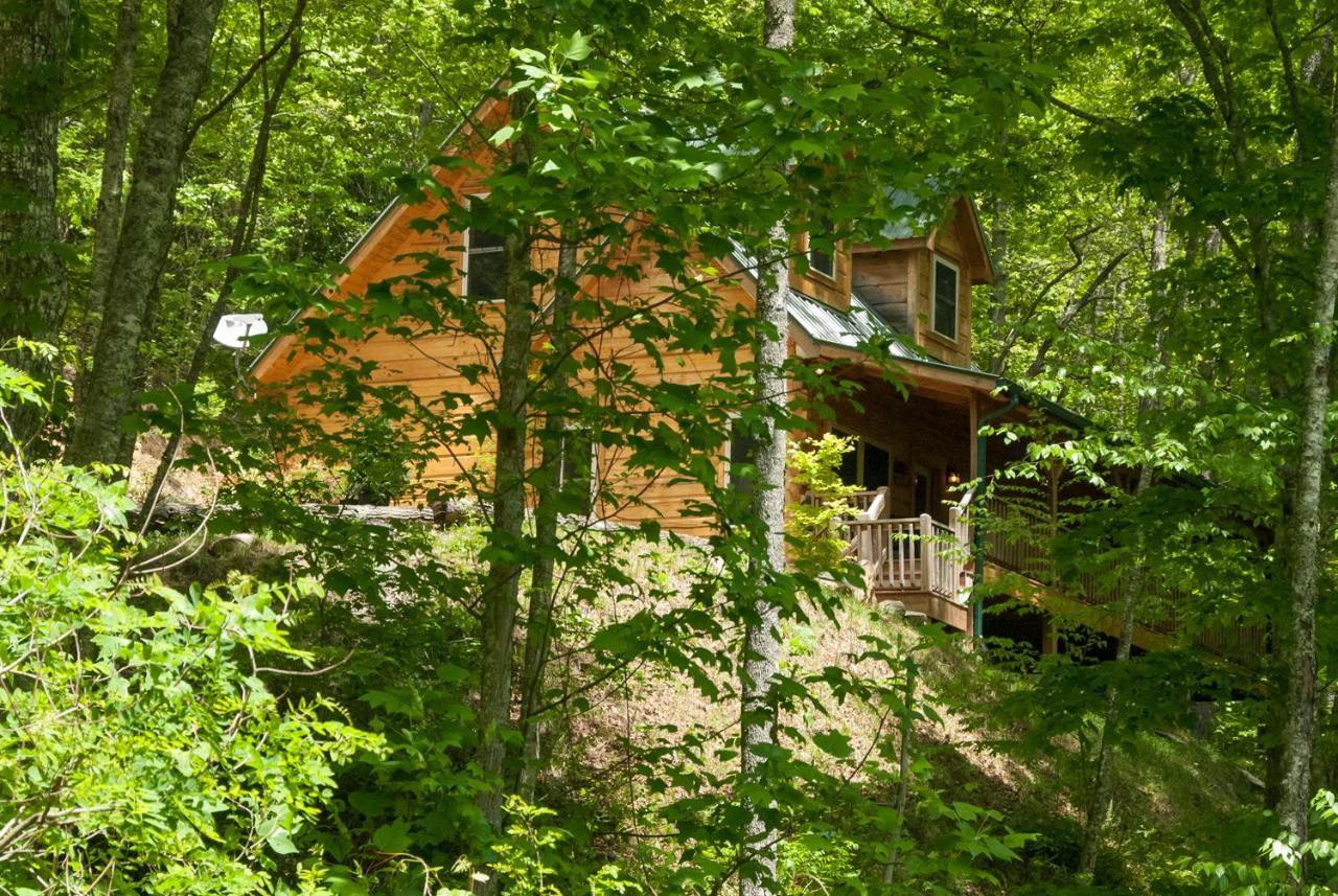 Cherokee Mountain Cabins Llc Hotel Topton Zewnętrze zdjęcie